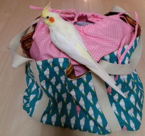 オーダーメイド キャリーバッグ 鳥