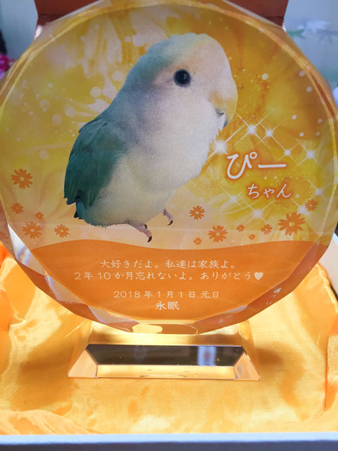 ペットのメモリアルプレート お位牌(お客様の声)