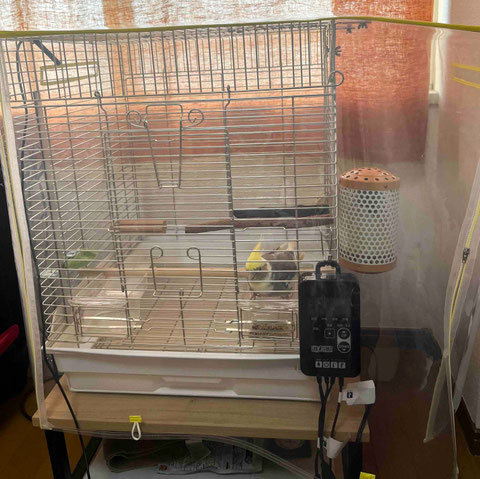 涼しくなってきたこれからの季節に、とても重宝しそうです！ クリアなので鳥さんが良く見えるのもうれしいです
