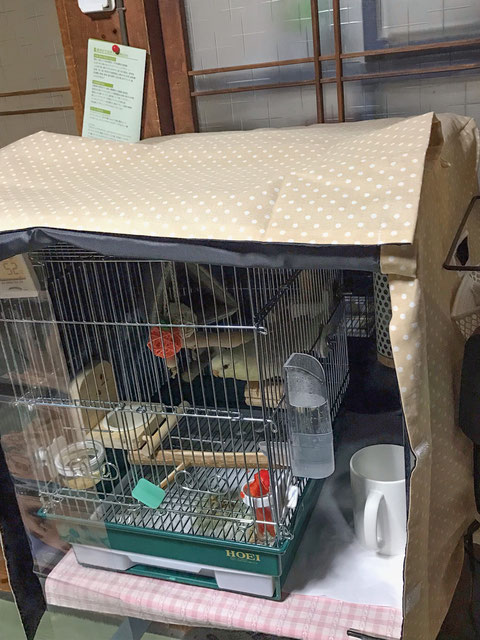 インコ 保温 カバー(防音 ケージ カバー 鳥かご 飛び散り 防止 インコ 保温 カバー(防音 ケージ カバー 鳥かご 飛び散り 防止