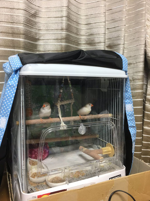 おやすみカバー(お休みカバー、手作り、夏、ヒーター、ケージカバー、遮光カバー、サークルカバー)お客様の写真