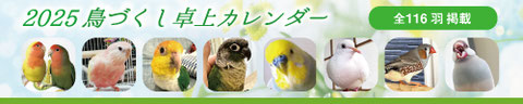 2025 鳥づくし卓上カレンダー