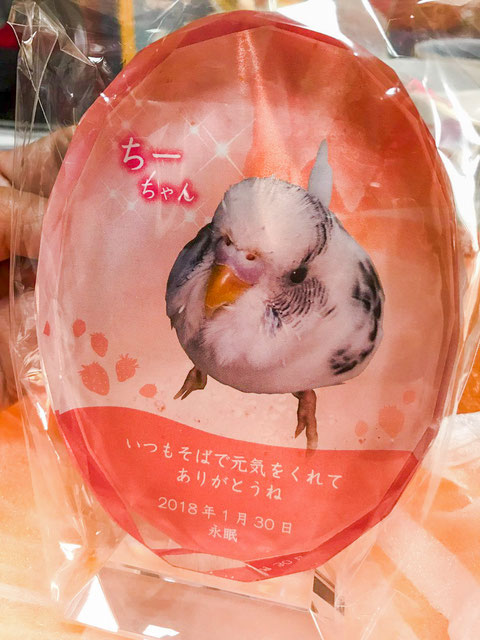 ペットのメモリアルプレート お位牌(お客様の声)