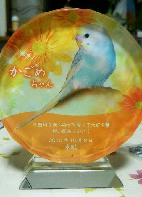 ペットのメモリアルプレート お位牌(お客様の声)