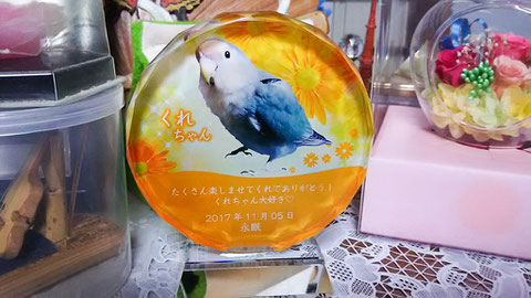 ペットのメモリアルプレート お位牌(お客様の声)