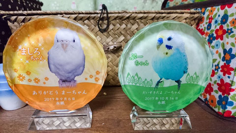 ペットのメモリアルプレート お位牌(お客様の声)