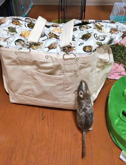 オーダーメイド キャリーバッグ感想