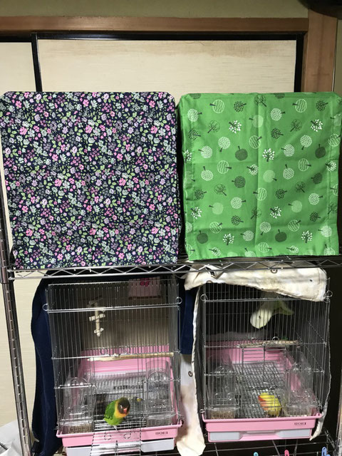 おやすみカバー(お休みカバー、手作り、夏、ヒーター、ケージカバー、遮光カバー、サークルカバー)お客様の写真