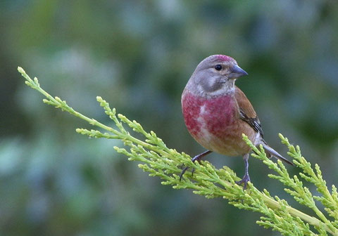 http://www.treknature.com