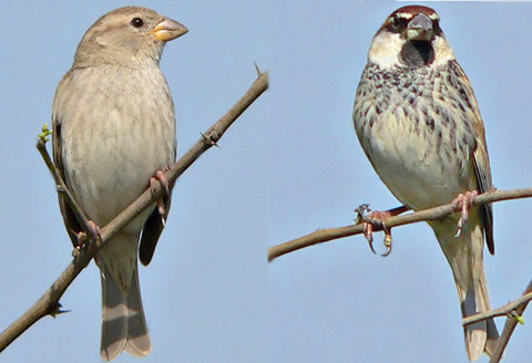 http://www.north-india.in