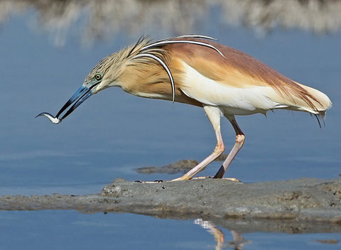 http://www.treknature.com/