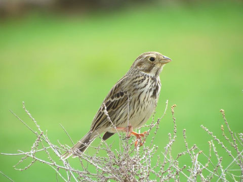 http://www.treknature.com