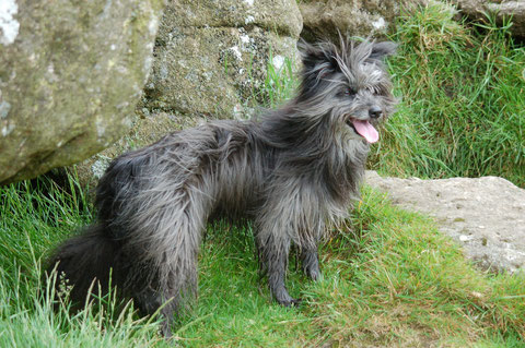 unterwegs zum Hound Tor