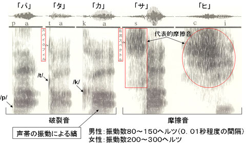 図5 代表的子音のスペクトログラム