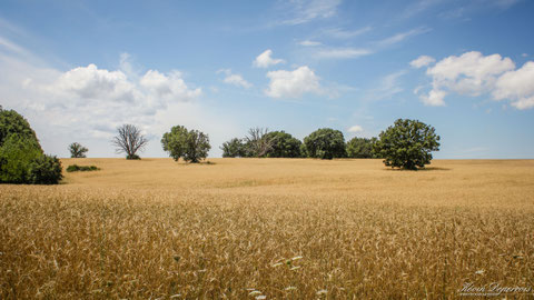 photo Kévin Deperrois