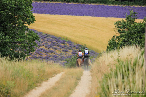 endurance équestre Revest du Bion