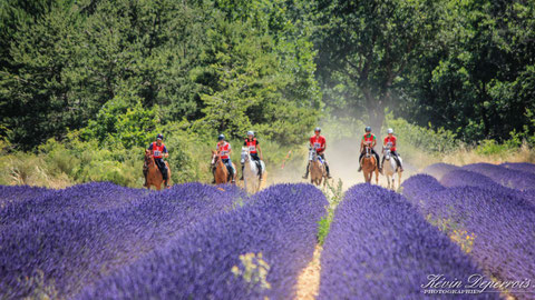 concours d'endurance Revest du Bion 2016