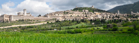 Assisi