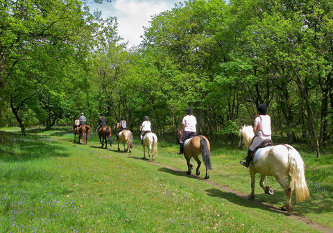 umbria franciscan pathways, franciscan path of peace assisi, horseback riding assisi, horseback riding umbria, horseback riding perugia