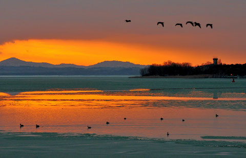 Lago Trasimeno 