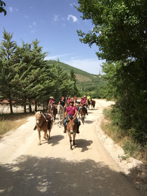 assisi horse riding experience, assisi horse riding excursion, perugia horse riding experience, perugia horse riding excursion, umbria horse riding tour, assisi horse riding tour, perugia horse riding tour