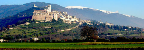 Assisi