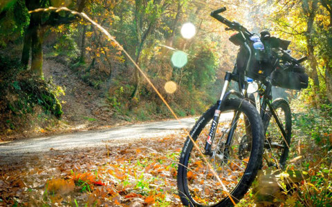mountain bike in umbria  sorprendimi umbria  viaggi in bici umbria escursioni in bici umbria