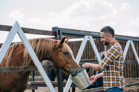 assisi horse riding experience, assisi horse riding excursion, perugia horse riding experience, perugia horse riding excursion, umbria horse riding tour, assisi horse riding tour, perugia horse riding tour