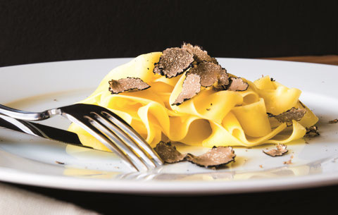 tartufo, tartufo bianco, tartufo nero, tartufo prezzo, caccia tartufo, caccia al tartufo, caccia di tartufi, caccia al tartufo umbria
