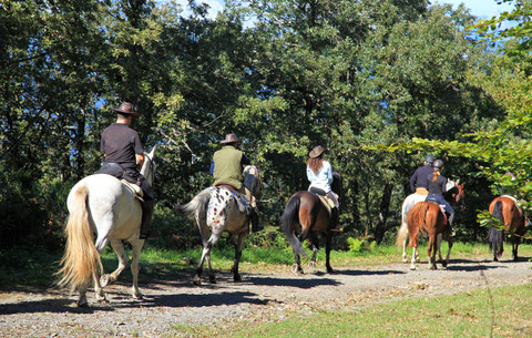 Horseback riding tour in Umbria