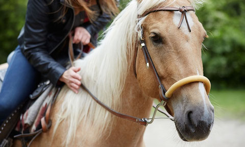 passeggiata a cavallo umbria galoppare umbria umbria percorsi con cavallo escursioni uniche sorprendimi umbria