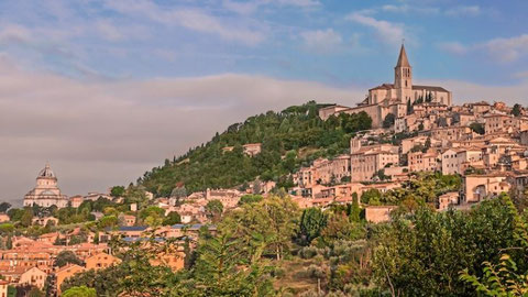 Todi