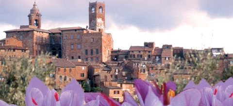 Città della Pieve, Zafferiamo