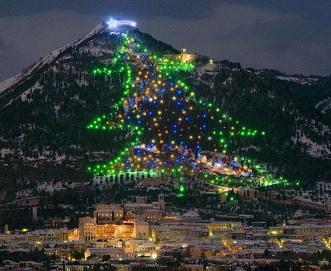 Gubbio: l'albero più grande del mondo