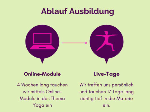Vinyasa Yoga Teacher Training in Zürich Oerlikon mit modularem Aufbau (hybrid). Kleine Gruppe, grosse Fortschritte.