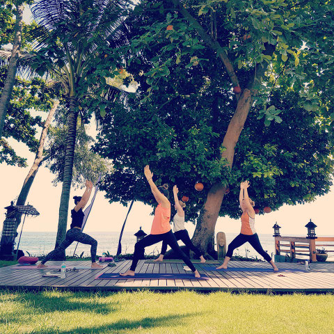 Vinyasa Yoga Ausbildung in Bali. In kleiner, persönlichen Gruppe - Fortschritt und Betreuung garantiert. Yoga Alliance akkreditiert. 