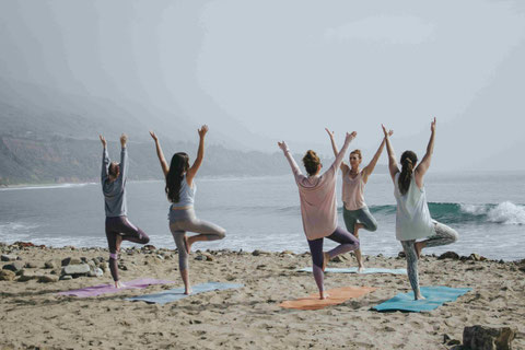 Vinyasa Yoga, Power Yoga Kurs, Yoga für Senioren, Yoga Ausbildungen, Yogalehrer Ausbildung. Yoga Ü50. Yogalehrer Ausbildung (Yoga Teacher Training), Meditationslehrer Ausbildung / Meditation Ausbildung in Zürich Oerlikon