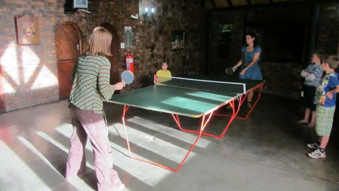 Table tennis at the lodge (day visitor and extra fees apply)