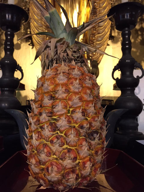 This pineapple as an offering to Buddha has been here for almost 4 weeks.   I think it's now ready to eat!!!