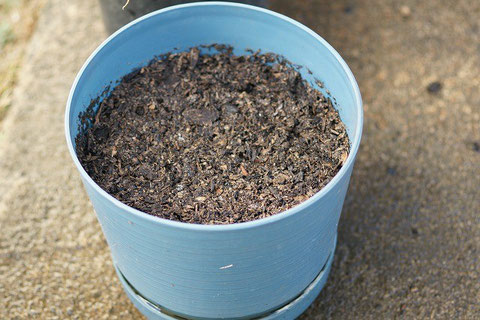 I look forward to seeing its germination
