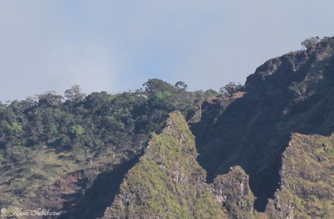 Kalalau Lookout seen from the ocean.