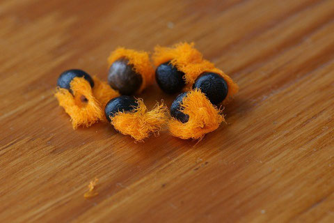 There were 6 seeds.