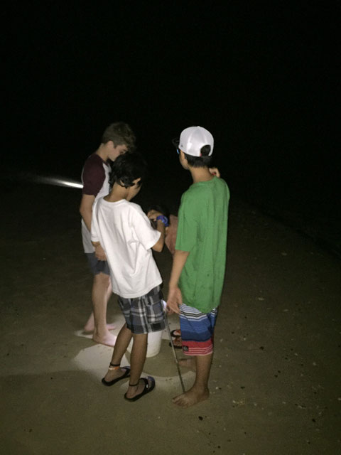 They enjoyed catching sand-crab till midnight. They stayed up late but it should be much better than doing video or computer games.