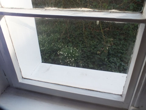 Blick aus dem Fenster (5)