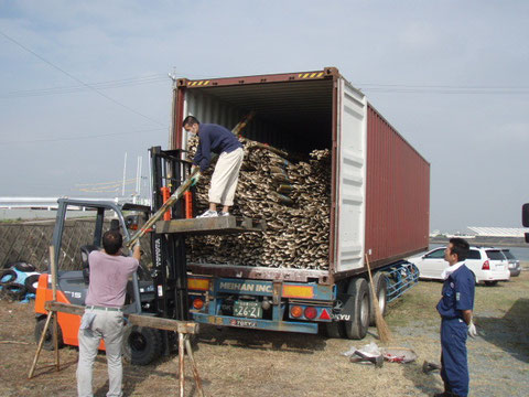 コンテナーから海苔竹を降ろします