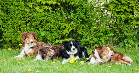 Ada, Jule, Bella & Alva