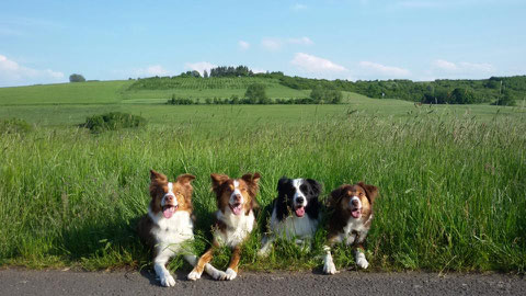 Cali, Alva, Bo und Ada