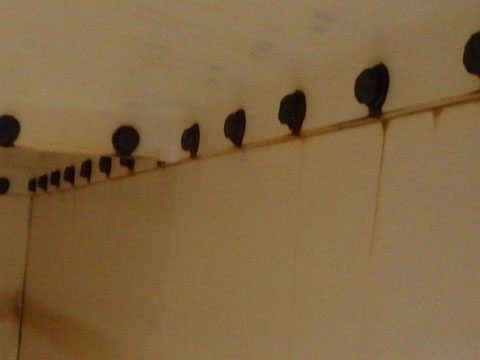 貯水槽の錆びたボルト