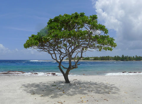 Rangiroa. Photo Drukpa Tahiti.