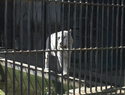 宇都宮動物園　栃木県　　宇都宮市